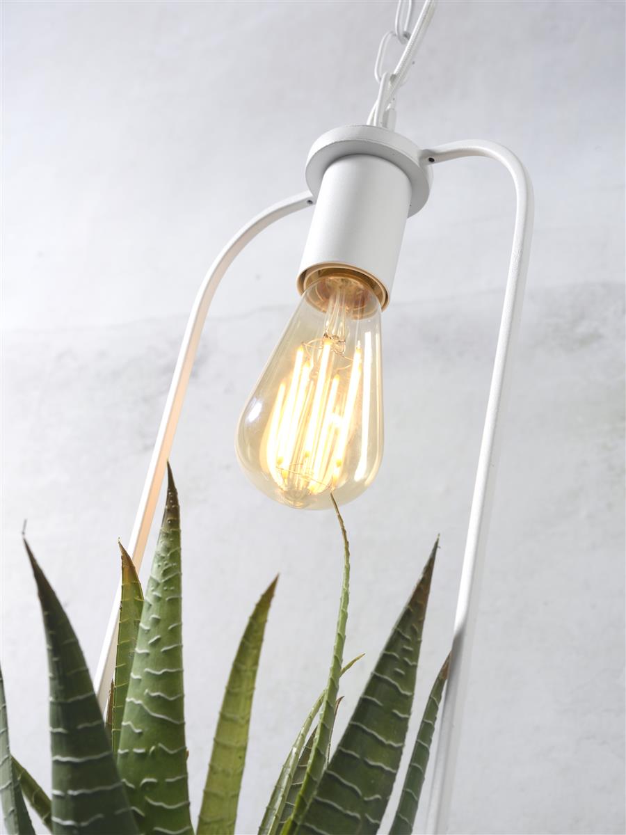 it's about RoMi I Hängeleuchte I FLORENCE I Farbe: Transparent