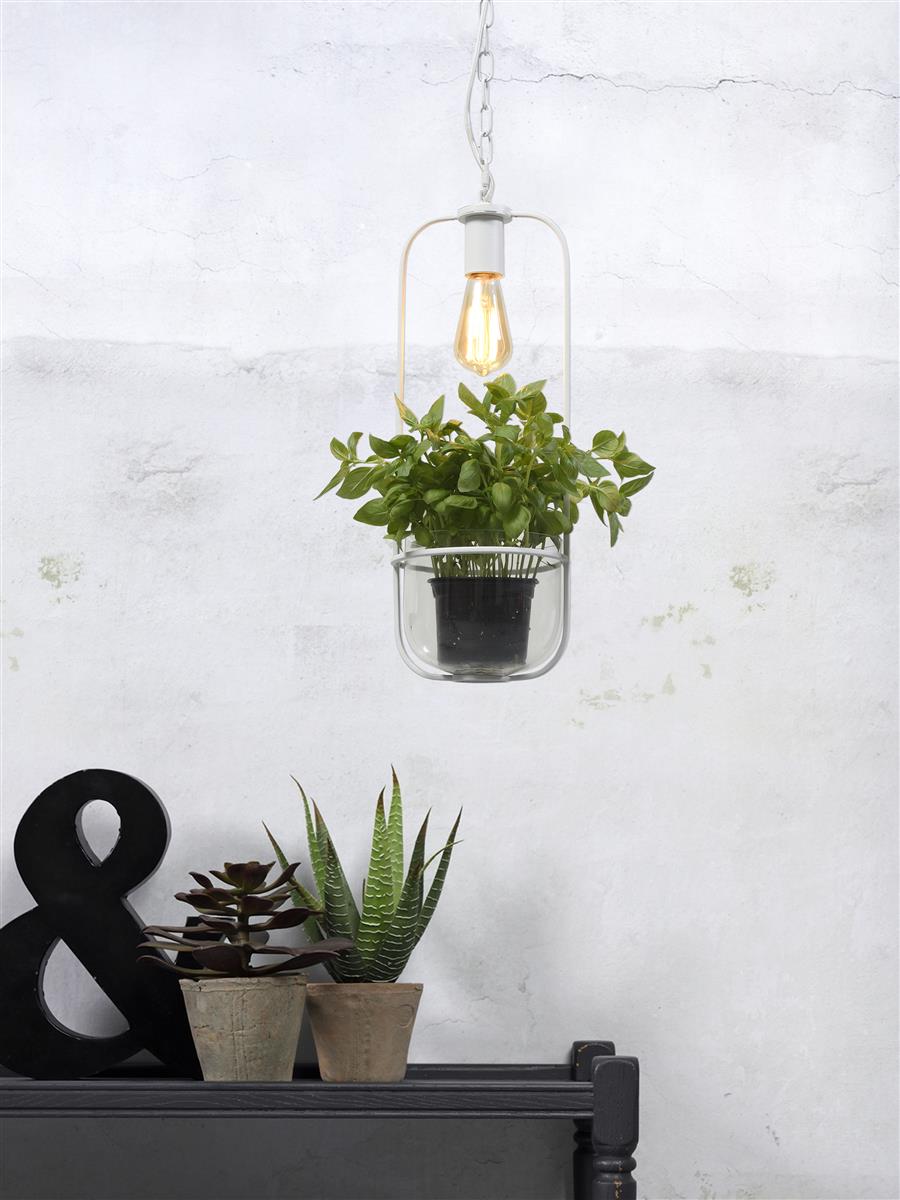 it's about RoMi I Hängeleuchte I FLORENCE I Farbe: Transparent