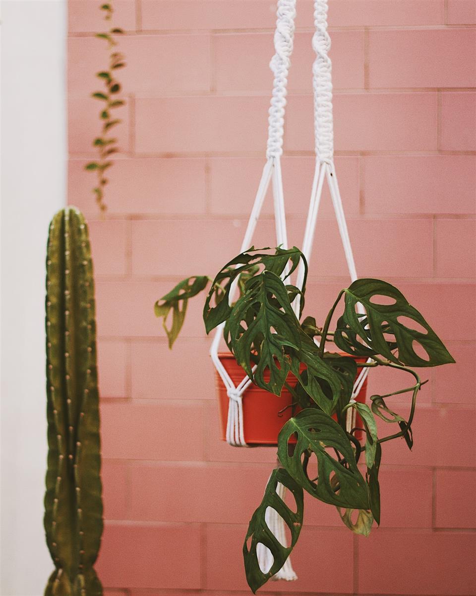 Pflanzenaufhänger RIFLA I Weiß I exzellentes & nachhaltiges Makramee
