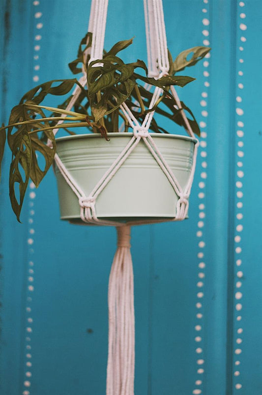 Pflanzenaufhänger WATU I Schwarz I exzellentes & nachhaltiges Makramee