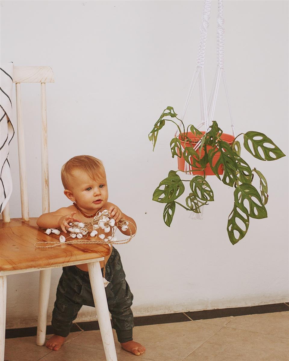 Pflanzenaufhänger RIFLA I Weiß I exzellentes & nachhaltiges Makramee