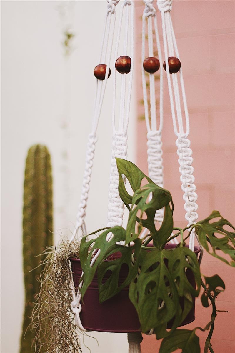 Pflanzenaufhänger GIGGI I Schwarz I exzellentes & nachhaltiges Makramee