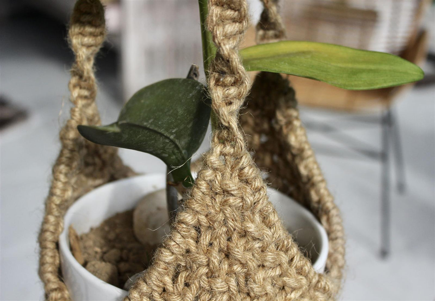 Pflanzenaufhänger FERNANDO I Jute I Natur I exzellentes & nachhaltiges Makramee