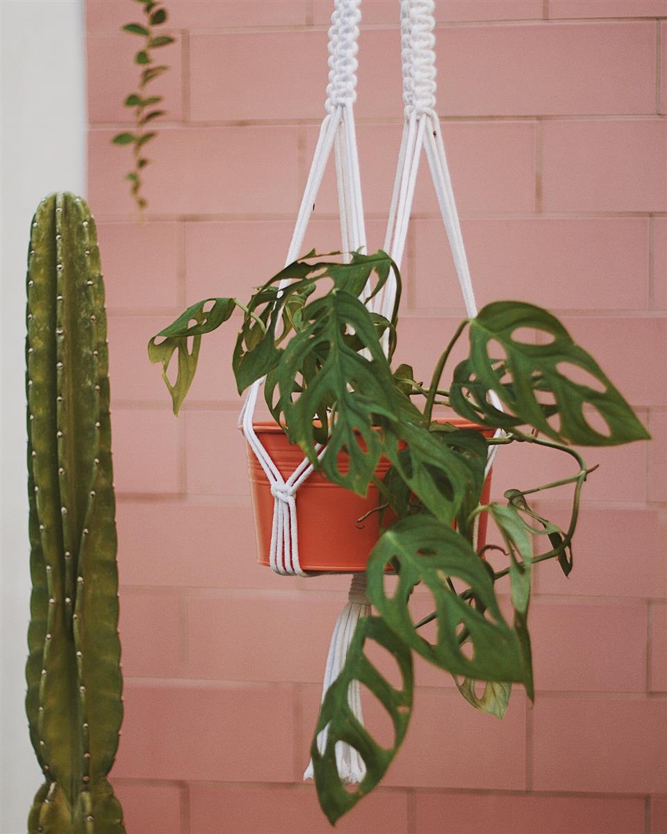 Pflanzenaufhänger RIFLA I Weiß I exzellentes & nachhaltiges Makramee