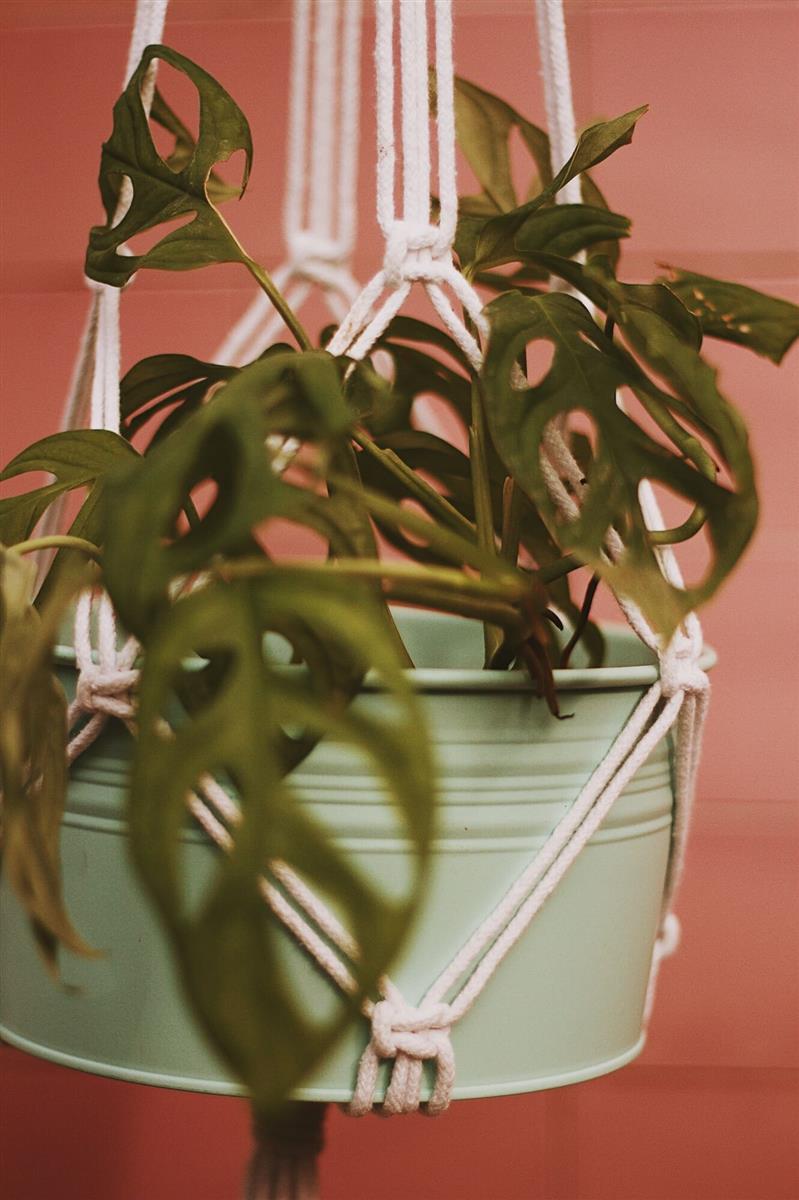 Pflanzenaufhänger WATU I Weiß I exzellentes & nachhaltiges Makramee