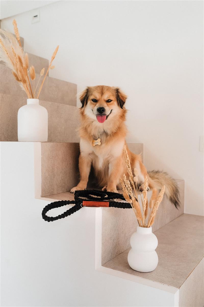 Hundeleine DUI I Schwarz I exzellentes & nachhaltiges Makramee