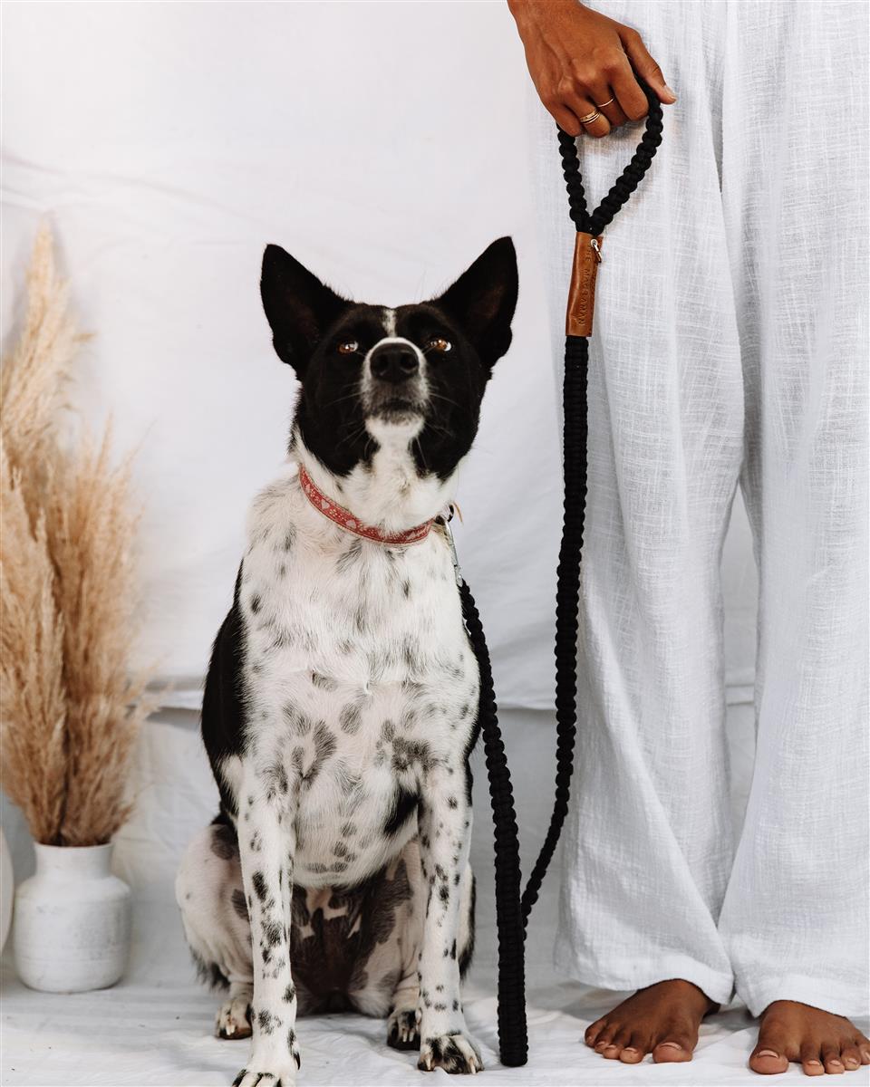 Hundeleine DUI I Schwarz I exzellentes & nachhaltiges Makramee