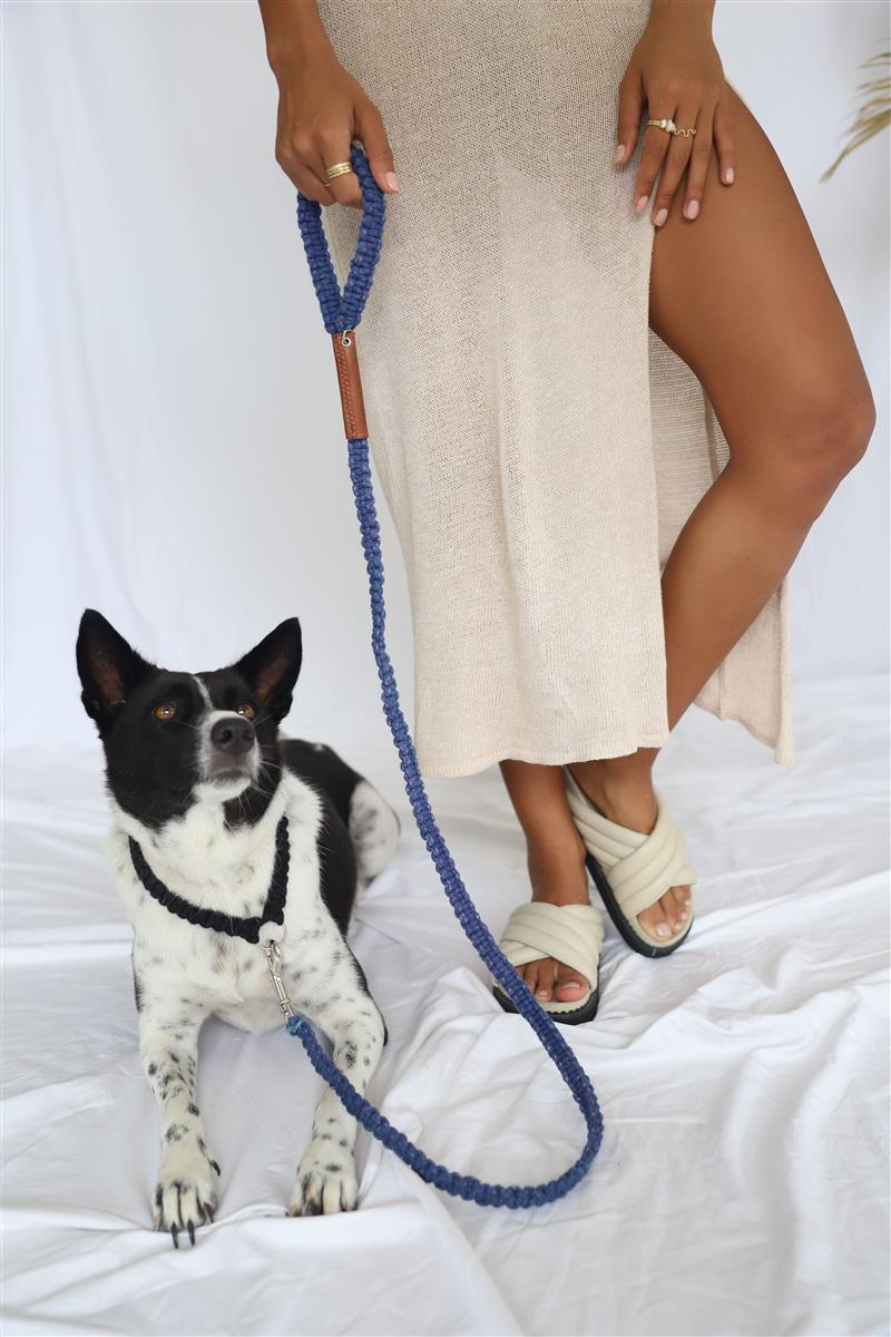 Hundeleine DUI I Indigo I exzellentes & nachhaltiges Makramee