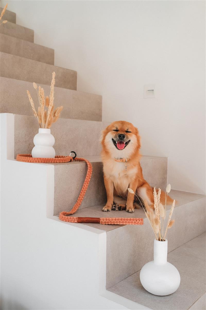 Hundeleine DUI I Errötetes-Pink I exzellentes & nachhaltiges Makramee