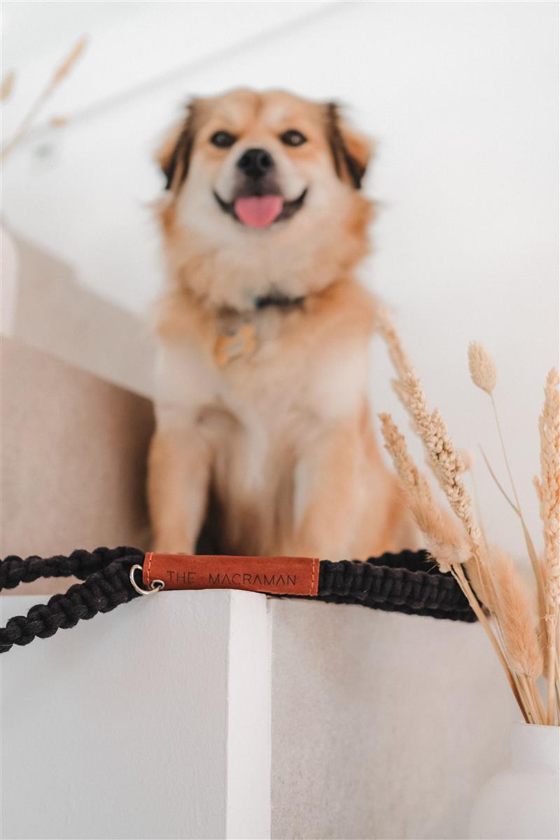 Hundeleine DUI I Schwarz I exzellentes & nachhaltiges Makramee