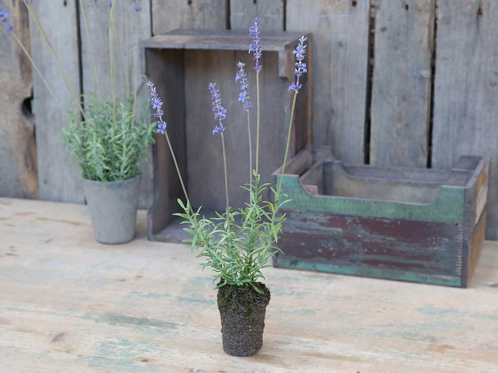 Fleur Lavendel Kunstblume