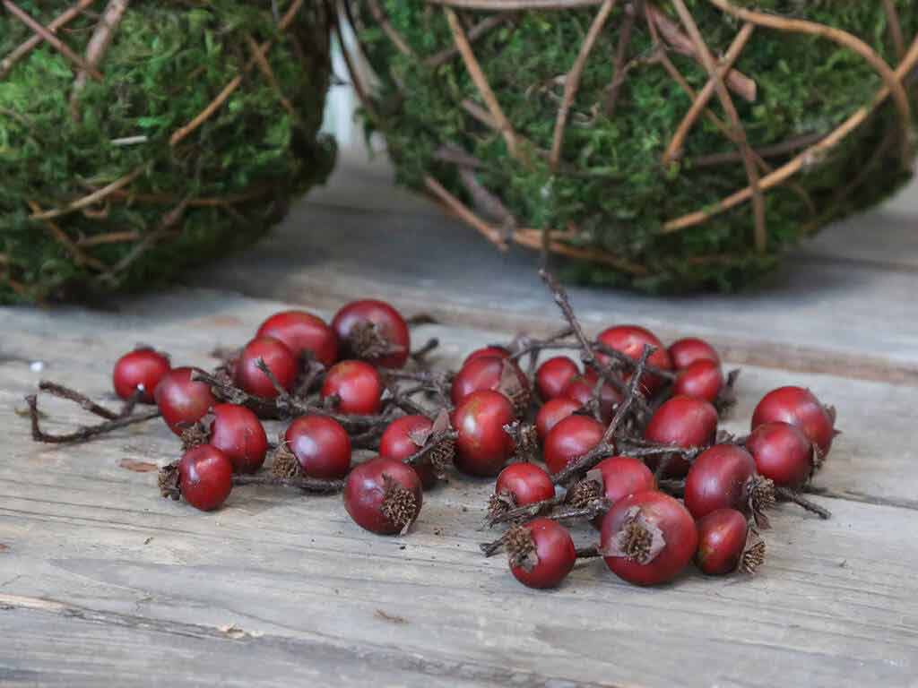 Fleur Rote Beeren I 30 Stück